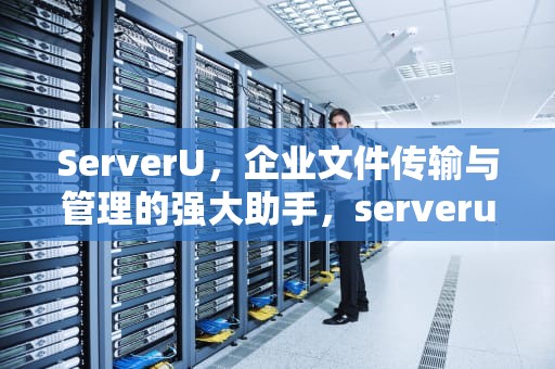 ServerU，企业文件传输与管理的强大助手，serverunreachable是什么意思
