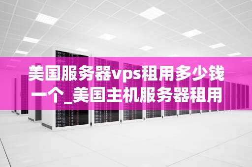 美国服务器vps租用多少钱一个_美国主机服务器租用_美国服务器VPS租用价格及影响因素分析