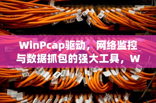 WinPcap驱动，网络监控与数据抓包的强大工具，Winpcap驱动未安装怎么办