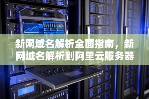 新网域名解析全面指南，新网域名解析到阿里云服务器