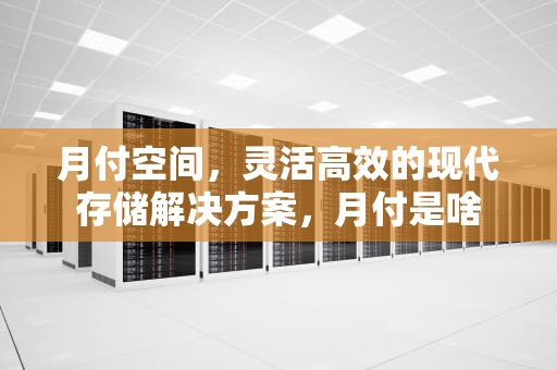 月付空间，灵活高效的现代存储解决方案，月付是啥
