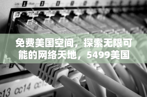 免费美国空间，探索无限可能的网络天地，5499美国免费空间