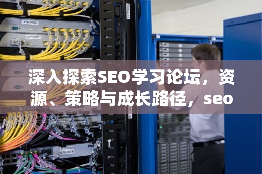 深入探索SEO学习论坛，资源、策略与成长路径，seo教程论坛