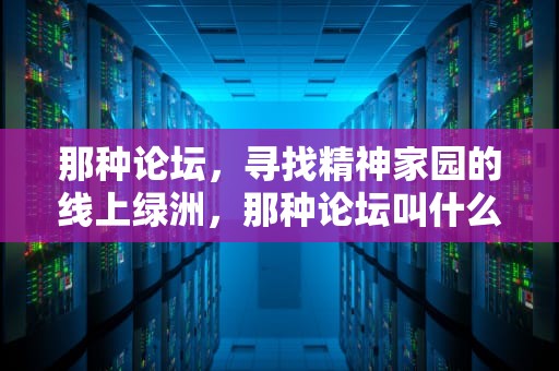 那种论坛，寻找精神家园的线上绿洲，那种论坛叫什么名