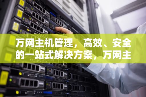 万网主机管理，高效、安全的一站式解决方案，万网主机管理控制台