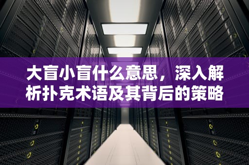 大盲小盲什么意思，深入解析扑克术语及其背后的策略，德州牌扑克大盲小盲什么意思