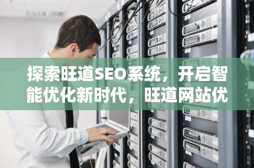 探索旺道SEO系统，开启智能优化新时代，旺道网站优化