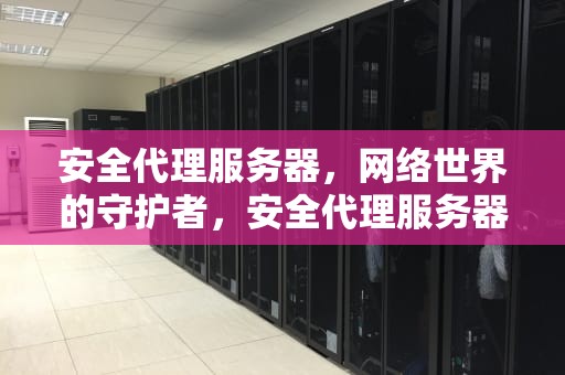 安全代理服务器，网络世界的守护者，安全代理服务器是什么