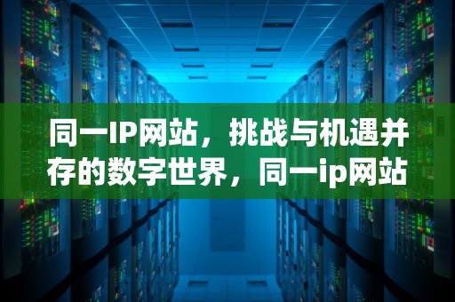 同一IP网站，挑战与机遇并存的数字世界，同一ip网站查询
