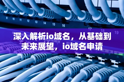 深入解析io域名，从基础到未来展望，io域名申请
