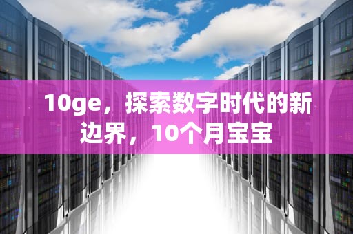 10ge，探索数字时代的新边界，10个月宝宝