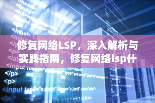 修复网络LSP，深入解析与实践指南，修复网络lsp什么意思