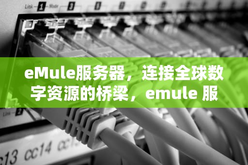 eMule服务器，连接全球数字资源的桥梁，emule 服务器 列表