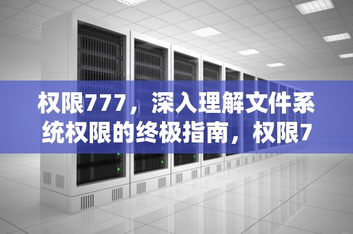 权限777，深入理解文件系统权限的终极指南，权限777是什么意思