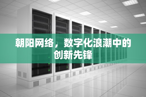 朝阳网络，数字化浪潮中的创新先锋