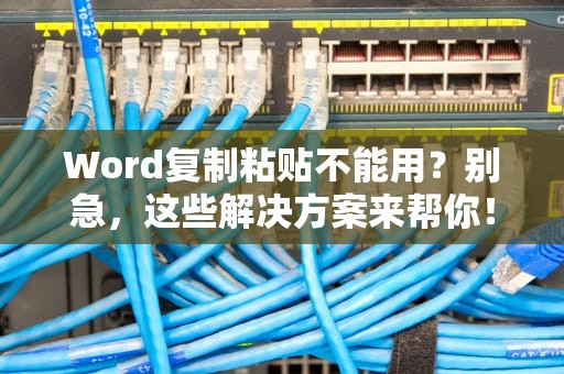 Word复制粘贴不能用？别急，这些解决方案来帮你！，word复制粘贴不能用怎么办