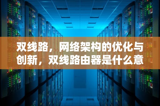 双线路，网络架构的优化与创新，双线路由器是什么意思