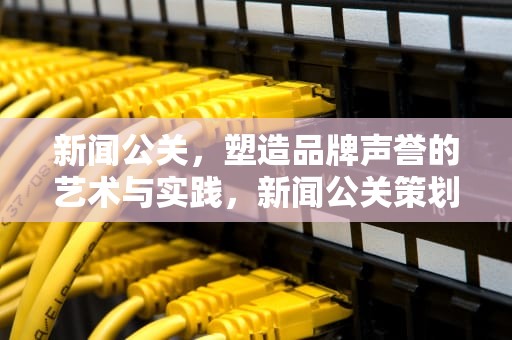 新闻公关，塑造品牌声誉的艺术与实践，新闻公关策划常用的策略包括