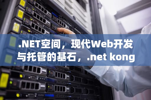 .NET空间，现代Web开发与托管的基石，.net kong