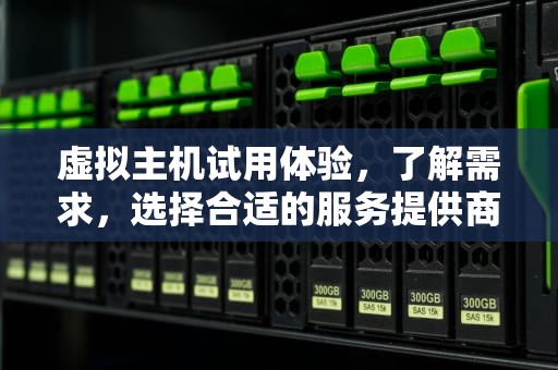 虚拟主机试用体验，了解需求，选择合适的服务提供商，虚拟主机试用3天