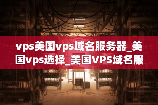 vps美国vps域名服务器_美国vps选择_美国VPS域名服务器的全面解析