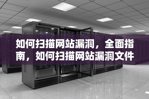 如何扫描网站漏洞，全面指南，如何扫描网站漏洞文件