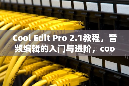 Cool Edit Pro 2.1教程，音频编辑的入门与进阶，cooledit21教程笔记