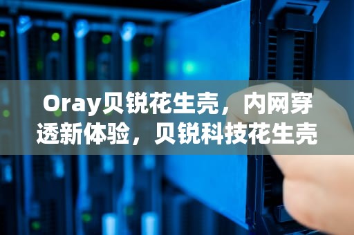 Oray贝锐花生壳，内网穿透新体验，贝锐科技花生壳售后客服电话