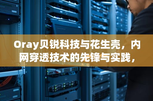 Oray贝锐科技与花生壳，内网穿透技术的先锋与实践，贝锐科技花生壳售后客服电话