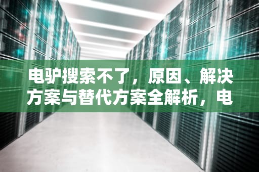 电驴搜索不了，原因、解决方案与替代方案全解析，电驴无法搜索