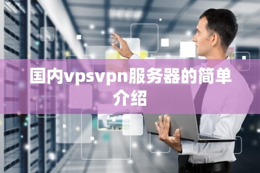 国内vpsvpn服务器的简单介绍