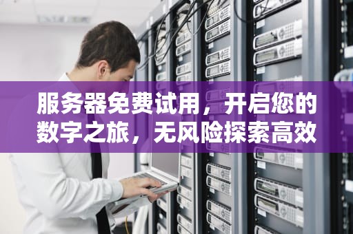 服务器免费试用，开启您的数字之旅，无风险探索高效云端服务，免费服务器一天试用
