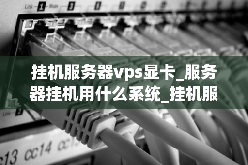 挂机服务器vps显卡_服务器挂机用什么系统_挂机服务器VPS显卡的深度解析