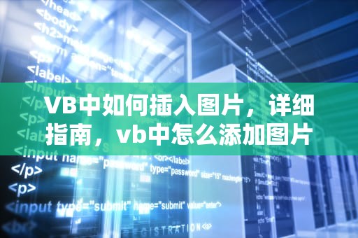 VB中如何插入图片，详细指南，vb中怎么添加图片