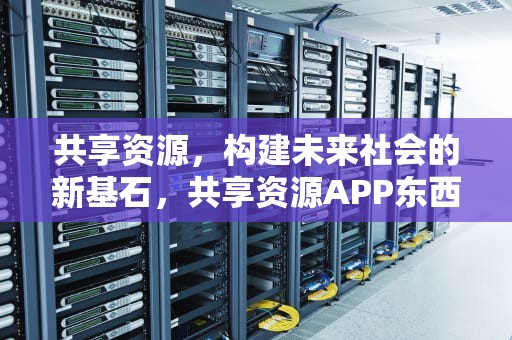 共享资源，构建未来社会的新基石，共享资源APP东西怎么样