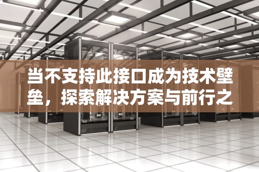 当不支持此接口成为技术壁垒，探索解决方案与前行之路，不支持此接口是什么问题