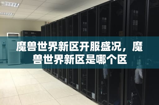 魔兽世界新区开服盛况，魔兽世界新区是哪个区