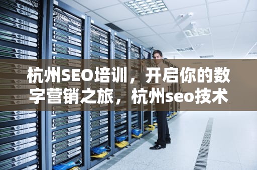杭州SEO培训，开启你的数字营销之旅，杭州seo技术培训