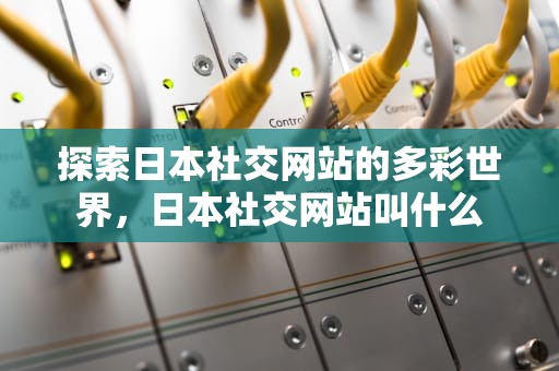 探索日本社交网站的多彩世界，日本社交网站叫什么