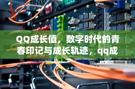 QQ成长值，数字时代的青春印记与成长轨迹，qq成长值在哪里查看