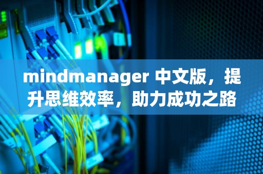 mindmanager 中文版，提升思维效率，助力成功之路，mindmanager中文官网