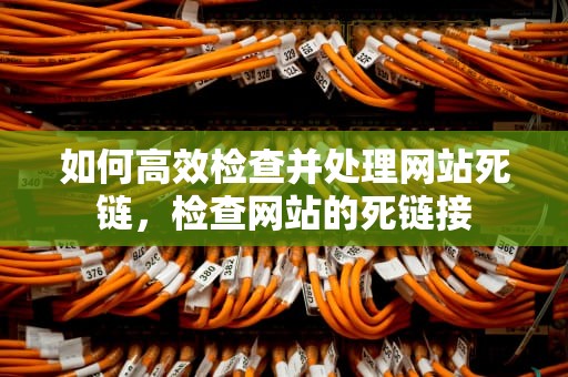 如何高效检查并处理网站死链，检查网站的死链接