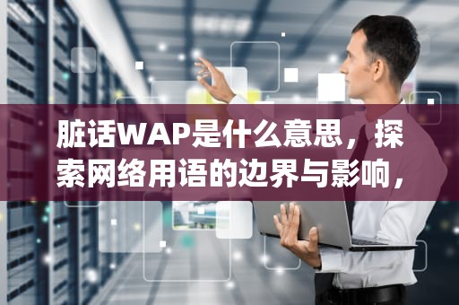 脏话WAP是什么意思，探索网络用语的边界与影响，脏话wap是什么意思网络用语
