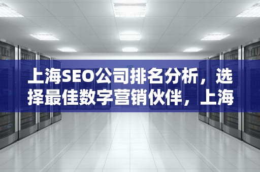 上海SEO公司排名分析，选择最佳数字营销伙伴，上海比较好的seo公司