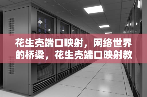 花生壳端口映射，网络世界的桥梁，花生壳端口映射教程