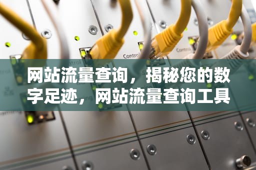 网站流量查询，揭秘您的数字足迹，网站流量查询工具