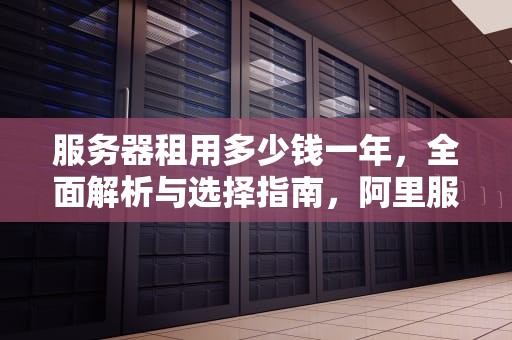服务器租用多少钱一年，全面解析与选择指南，阿里服务器租用多少钱一年
