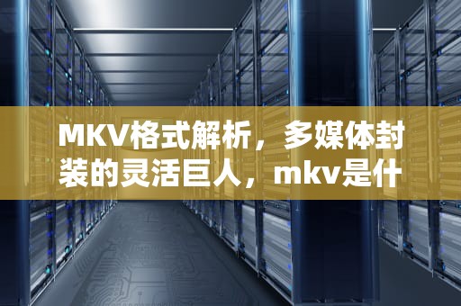 MKV格式解析，多媒体封装的灵活巨人，mkv是什么格式的视频