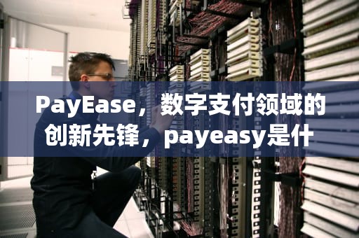 PayEase，数字支付领域的创新先锋，payeasy是什么意思