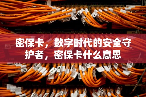 密保卡，数字时代的安全守护者，密保卡什么意思